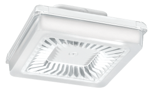 RAB Porto LED Fixture